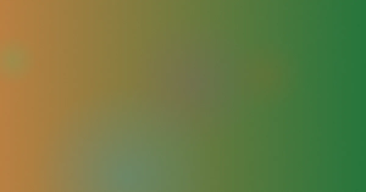 高叉泳装攻略：横向对比买